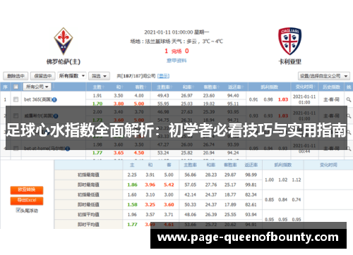 足球心水指数全面解析：初学者必看技巧与实用指南