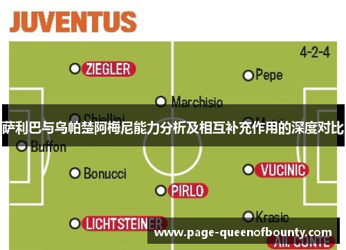 萨利巴与乌帕楚阿梅尼能力分析及相互补充作用的深度对比